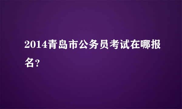 2014青岛市公务员考试在哪报名？