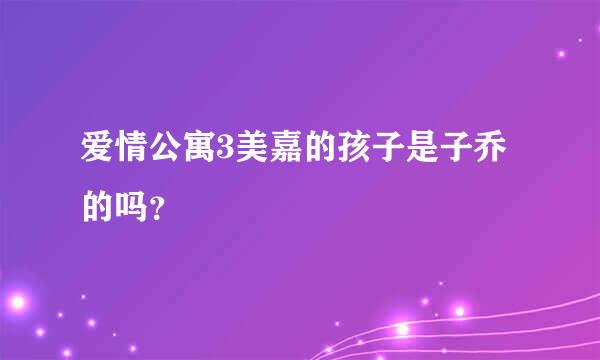 爱情公寓3美嘉的孩子是子乔的吗？