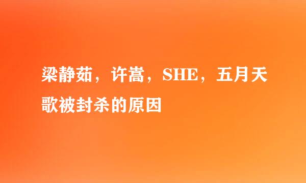 梁静茹，许嵩，SHE，五月天歌被封杀的原因