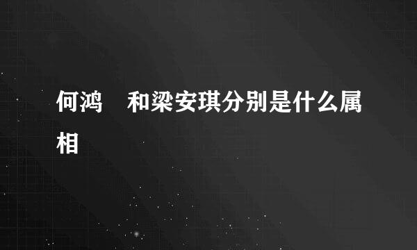 何鸿燊和梁安琪分别是什么属相