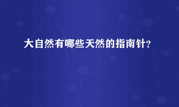 大自然有哪些天然的指南针？