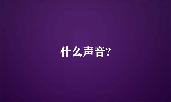 什么声音?