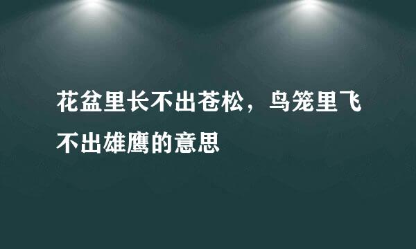 花盆里长不出苍松，鸟笼里飞不出雄鹰的意思