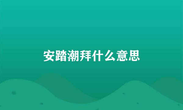 安踏潮拜什么意思