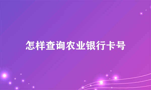 怎样查询农业银行卡号