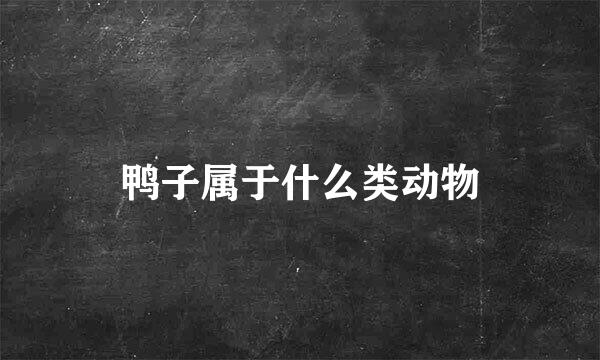 鸭子属于什么类动物