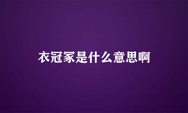 衣冠冢是什么意思啊