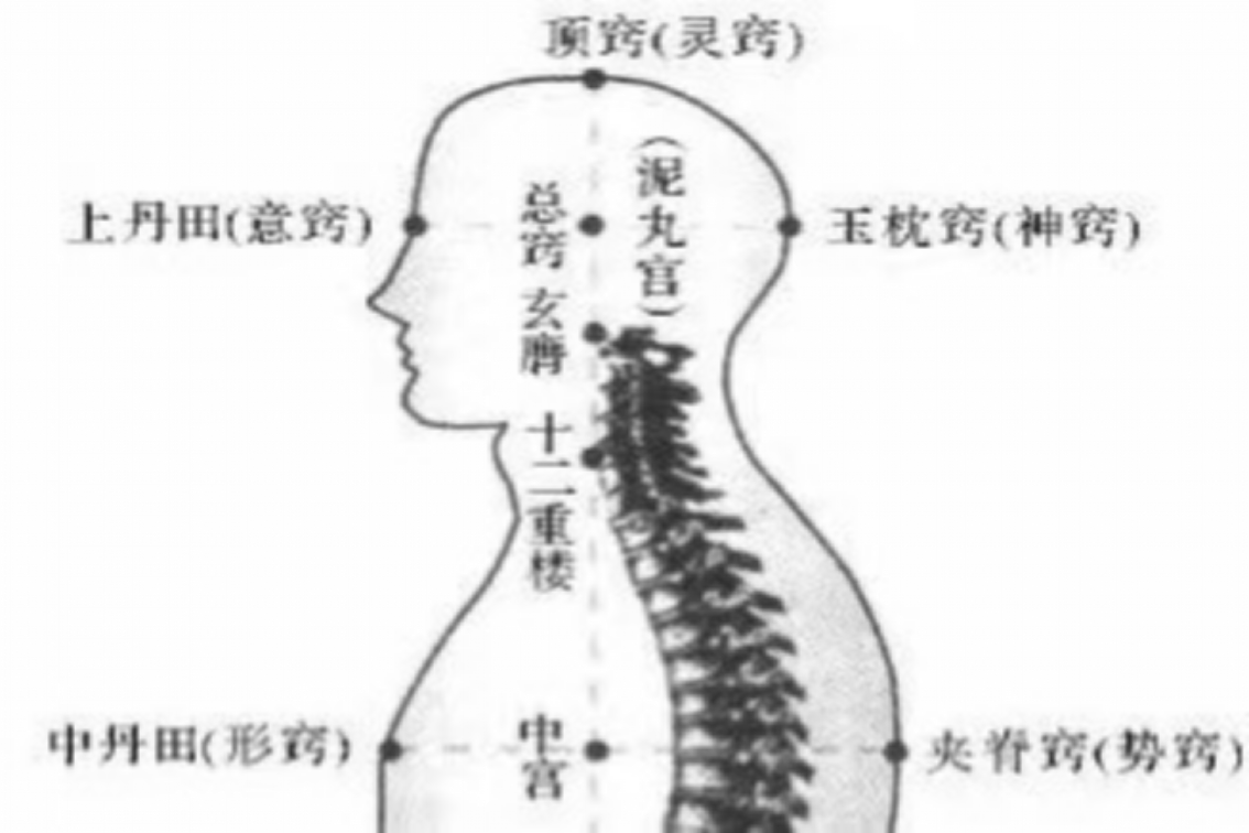 泥丸宫在什么位置