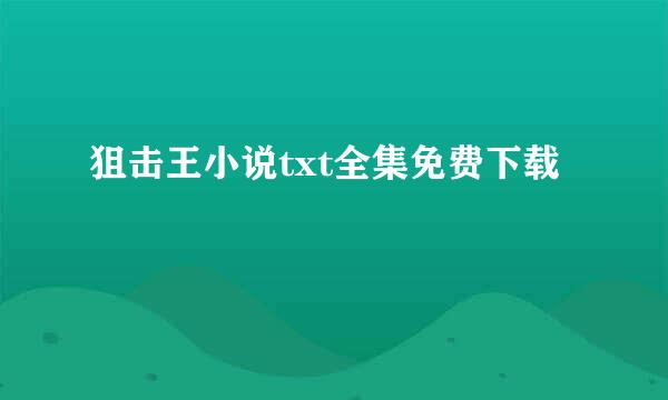 狙击王小说txt全集免费下载