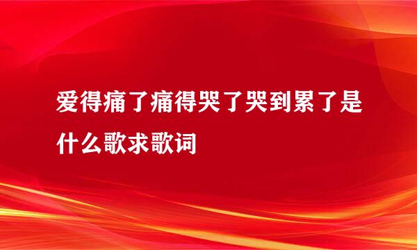 爱得痛了痛得哭了哭到累了是什么歌求歌词