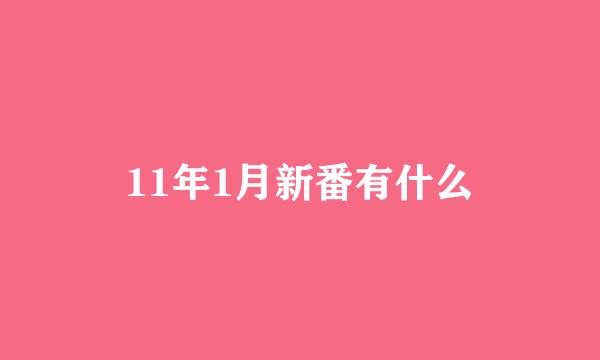 11年1月新番有什么