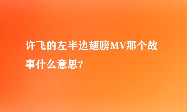 许飞的左半边翅膀MV那个故事什么意思?