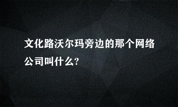 文化路沃尔玛旁边的那个网络公司叫什么?