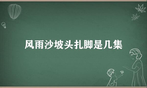 风雨沙坡头扎脚是几集