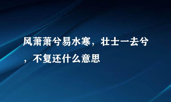 风萧萧兮易水寒，壮士一去兮，不复还什么意思