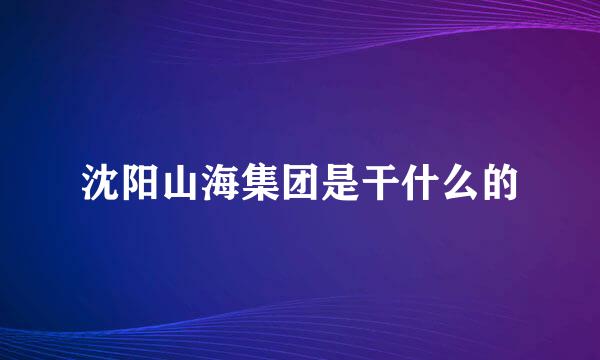 沈阳山海集团是干什么的