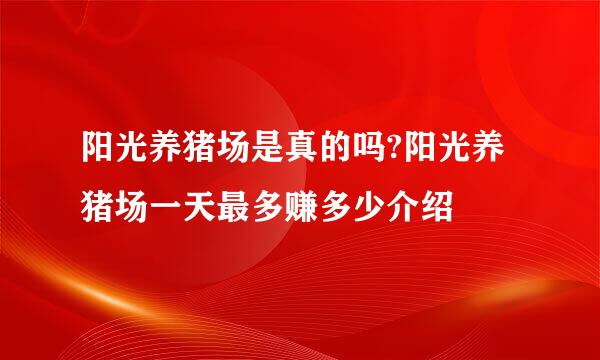 阳光养猪场是真的吗?阳光养猪场一天最多赚多少介绍