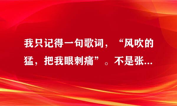 我只记得一句歌词，“风吹的猛，把我眼刺痛”。不是张杰的《风》