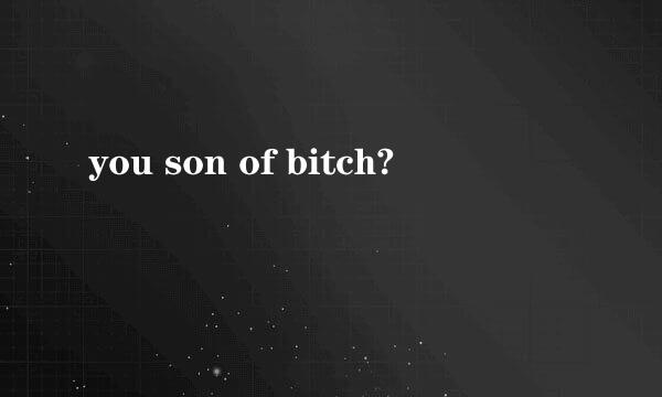 you son of bitch?