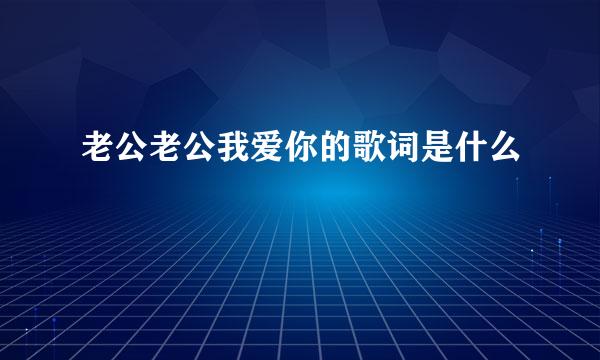 老公老公我爱你的歌词是什么