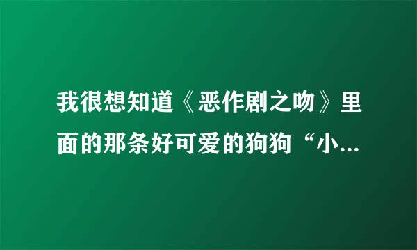 我很想知道《恶作剧之吻》里面的那条好可爱的狗狗“小可爱”是什么犬种。有没有哪位知情人士可以告诉我啊