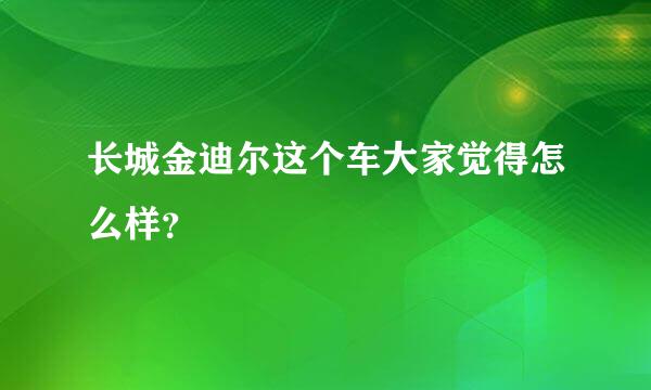 长城金迪尔这个车大家觉得怎么样？