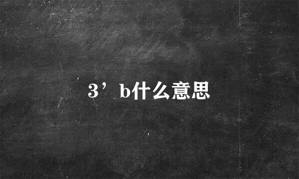 3’b什么意思