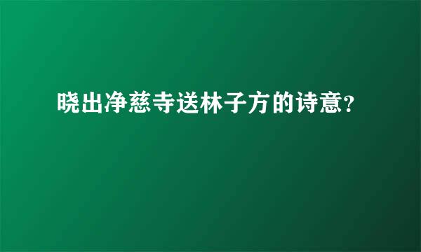 晓出净慈寺送林子方的诗意？