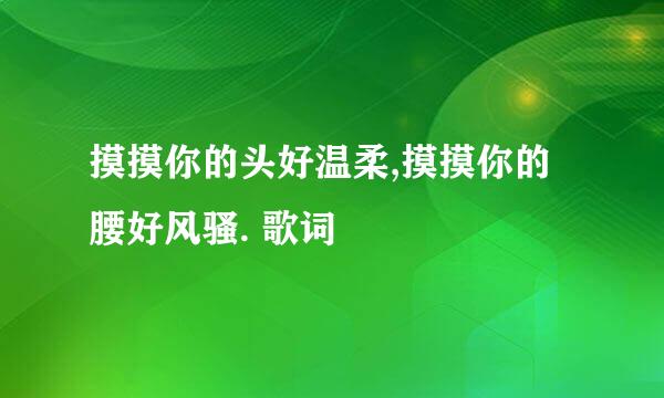 摸摸你的头好温柔,摸摸你的腰好风骚. 歌词