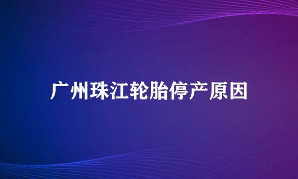 广州珠江轮胎停产原因