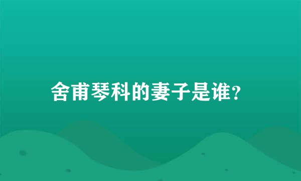 舍甫琴科的妻子是谁？