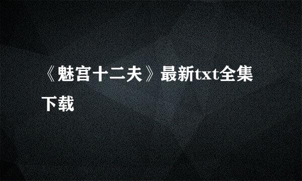 《魅宫十二夫》最新txt全集下载