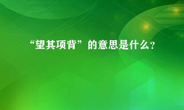 “望其项背”的意思是什么？