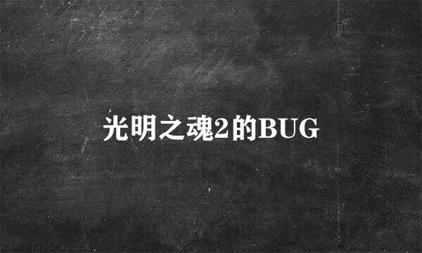 光明之魂2的BUG