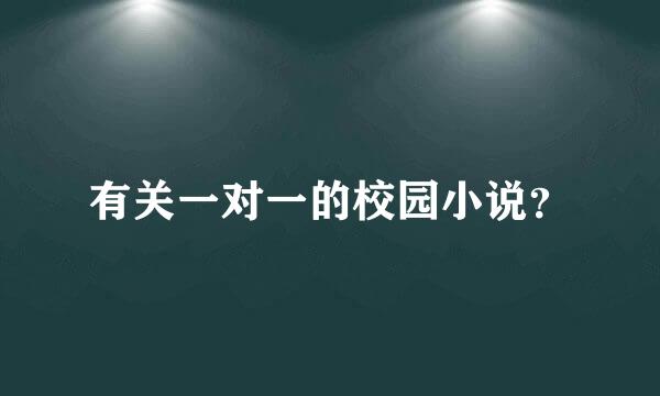 有关一对一的校园小说？