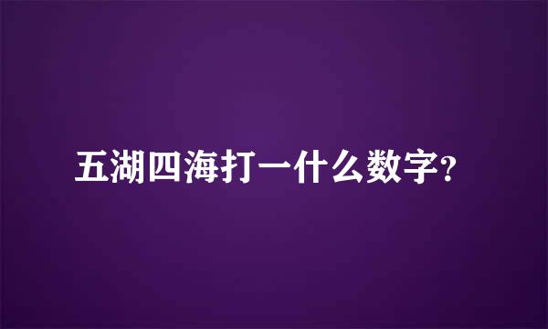 五湖四海打一什么数字？