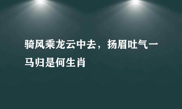 骑风乘龙云中去，扬眉吐气一马归是何生肖