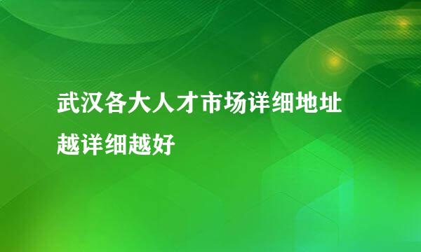 武汉各大人才市场详细地址 越详细越好