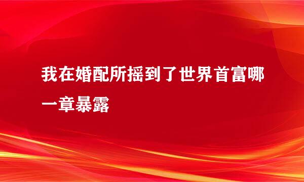 我在婚配所摇到了世界首富哪一章暴露