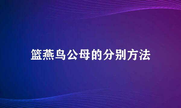 篮燕鸟公母的分别方法