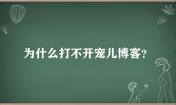 为什么打不开宠儿博客？