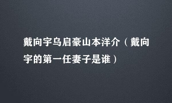 戴向宇乌启豪山本洋介（戴向宇的第一任妻子是谁）