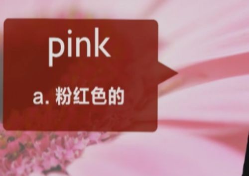 pink用英语怎么读