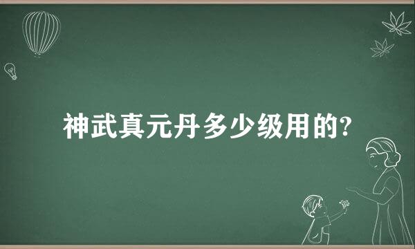 神武真元丹多少级用的?