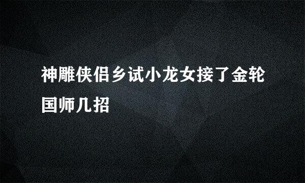 神雕侠侣乡试小龙女接了金轮国师几招