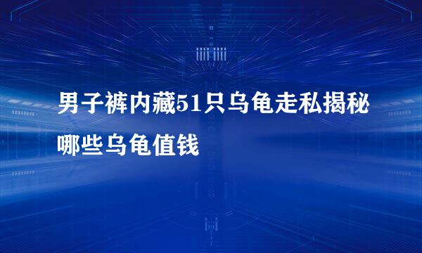 男子裤内藏51只乌龟走私揭秘哪些乌龟值钱