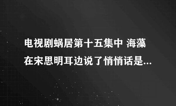 电视剧蜗居第十五集中 海藻在宋思明耳边说了悄悄话是什么话？