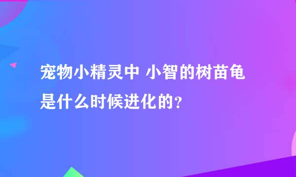 宠物小精灵中 小智的树苗龟是什么时候进化的？