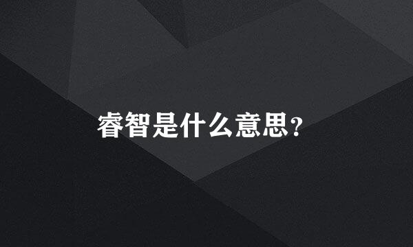 睿智是什么意思？