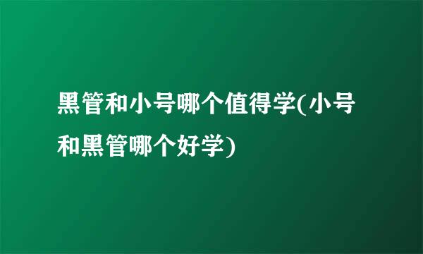 黑管和小号哪个值得学(小号和黑管哪个好学)